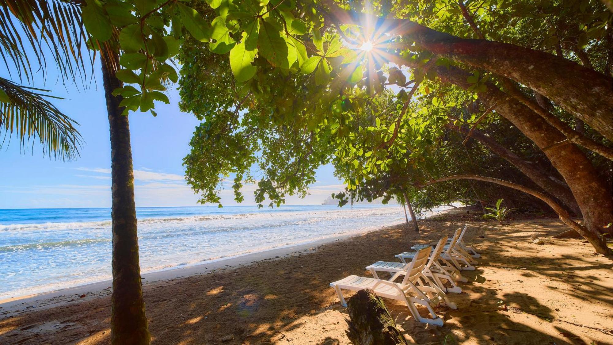 Dragonfly Beachfront Villas-Adult Only Punta Uva Kültér fotó