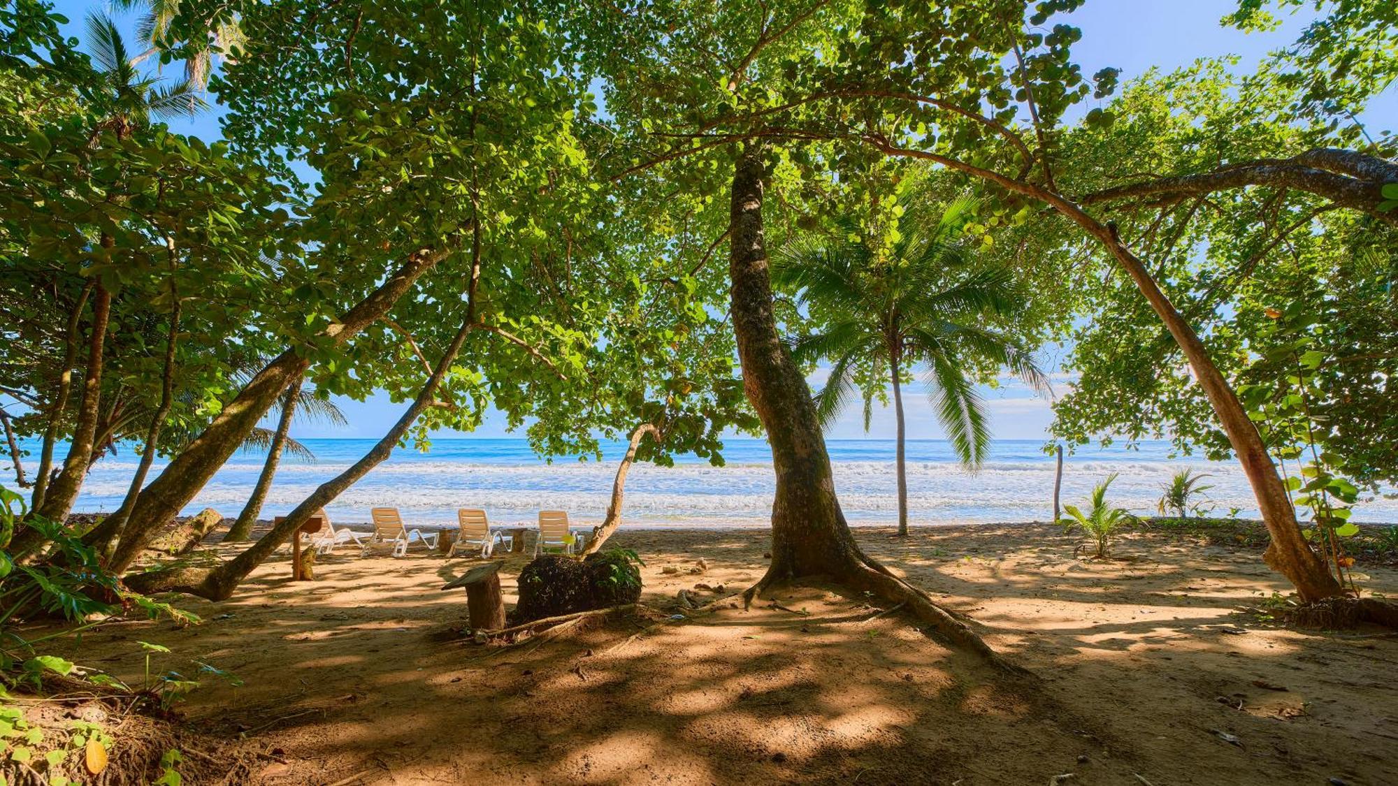 Dragonfly Beachfront Villas-Adult Only Punta Uva Kültér fotó